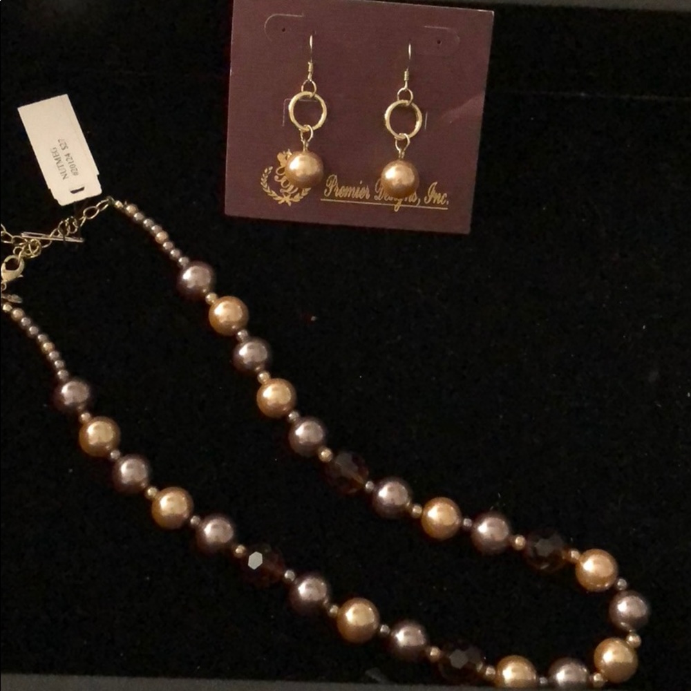 Premier designs nutmeg set